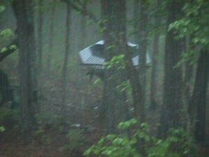 Hammock in the Rain